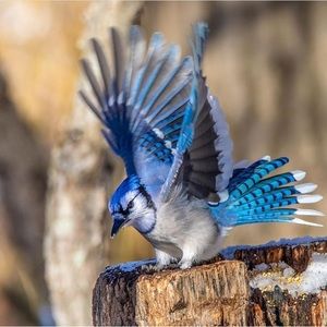 Meet your Posher, Kathryn